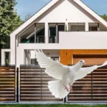 12Pcs Fence Wall Spikes Bird Deterrent Spikes Plastic Anti Climb Cat Animal Repellent For Garden Fences Birds Pigeons Spikes